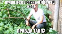 лучше нож в спине,чем огурец в жопе правда таня?