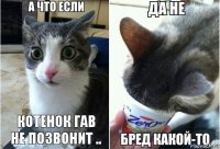 Котенок Гав не позвонит ..