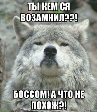 ты кем ся возамнил??! боссом! а что не похож?!