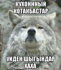 кухоннный котакбастар уиден шыгындар хаха