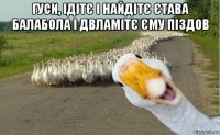 гуси, ідітє і найдітє єтава балабола і двламітє єму піздов 