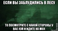 если вы заблудились в лесу то посмотрите с какой стороны у вас хуй и идите на мох