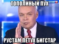 тополиный пух рустам петух бигстар