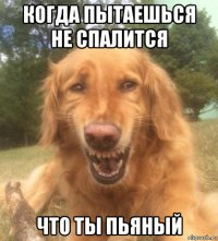 когда пытаешься не спалится что ты пьяный