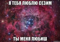 я тебя люблю сезим ты меня любиш