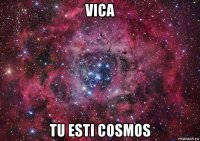 vica tu esti cosmos