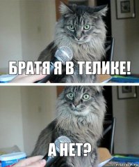 Братя я в телике! А нет?