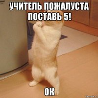 учитель пожалуста поставь 5! ок