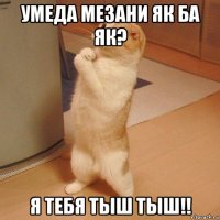 умеда мезани як ба як? я тебя тыш тыш!!