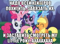 надо всей хейтеров похитить, завязать их, и заставить смотреть my little pony, ахахахаха