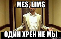 mes, lims один хрен не мы