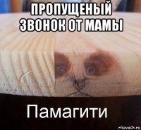 пропущеный звонок от мамы 