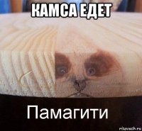 камса едет 