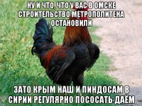 ну и что, что у вас в омске строительство метрополитена остановили зато крым наш и пиндосам в сирии регулярно пососать даём