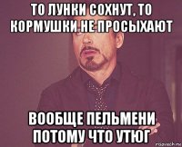 то лунки сохнут, то кормушки не просыхают вообще пельмени потому что утюг