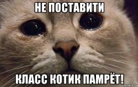 не поставити класс котик памрёт!