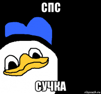 спс сучка