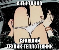 а ты точно старший техник-теплотехник