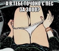 а в тебе точоно є пес за 3000? 