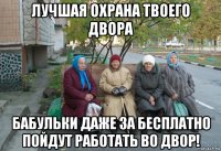 лучшая охрана твоего двора бабульки даже за бесплатно пойдут работать во двор!