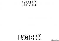 ткани растений