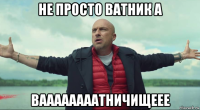 не просто ватник а ваааааааатничищеее