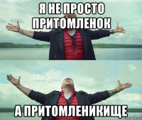 я не просто притомленок а притомленикище