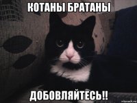 котаны братаны добовляйтесь!!