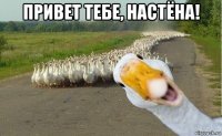 привет тебе, настёна! 