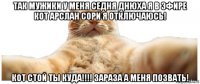 так мужики у меня седня днюха я в эфире кот арслан сори я отключаюсь! кот стой ты куда!!!! зараза а меня позвать!