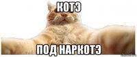 котэ под наркотэ