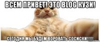 всем привет! это blog кузи! сегодня мы будем воровать сосиски!!!!!