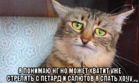  я понимаю нг но может хватит уже стрелять с петард и салютов я спать хочу