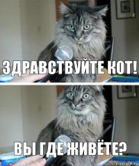 здравствуйте кот! вы где живёте?