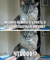 Можно немного узнать о вашей собачьей жизни? Чтоооо!?