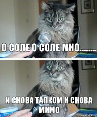 о соле о соле мио......... и снова тапком и снова мимо