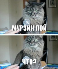 Мурзик пой что?