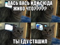 вась вась иди сюда живо что????? ты еду сташил