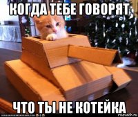 когда тебе говорят что ты не котейка