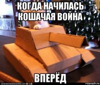 когда начилась кошачая война вперёд