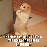  ну можно я буду срать в тряпку возле дверей разреши а