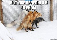 вот уже неделю я в чёрном 