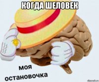 когда шеловек 