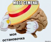 мозг семена) 