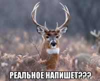  реальное напишет???