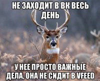 не заходит в вк весь день у нее просто важные дела, она не сидит в vfeed