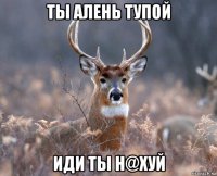 ты алень тупой иди ты н@хуй