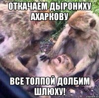 откачаем дырониху ахаркову все толпой долбим шлюху!