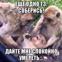 еще одно тз, соберись! дайте мне спокойно умереть...