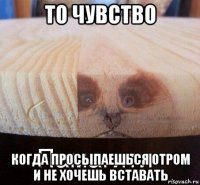 то чувство когда просыпаешься отром и не хочешь вставать